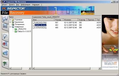 Скриншот к PC Inspector File Recovery v.4.0