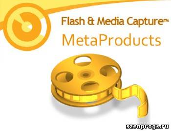  <b>Flash</b> and Media Capture 