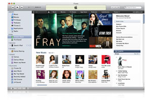 Скриншот к Apple iTunes 9.0.2